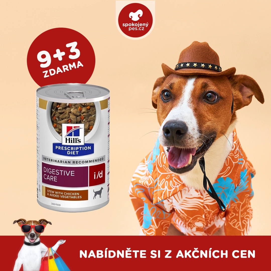 dog05 - kopie.webp